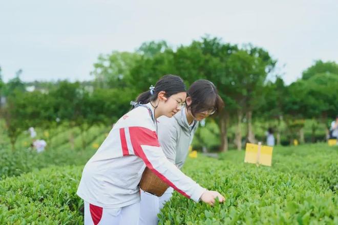一研学旅行市场火爆→开元ky棋牌今年五