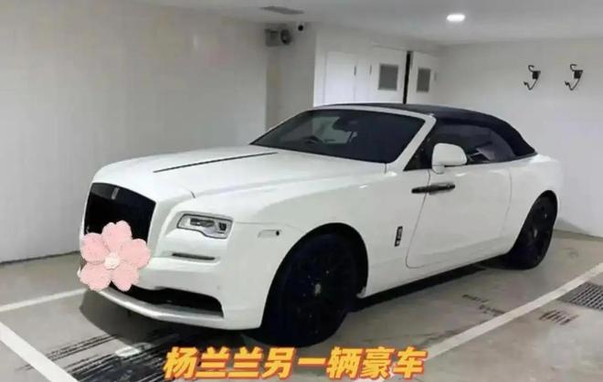 曝光穿高定戴天价耳环换豪车取现金开元棋牌app杨兰兰澳洲最新照片